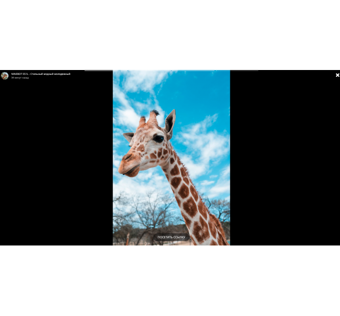Stories for Opencart Stories for Opencart