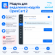 Module removal module for Opencart