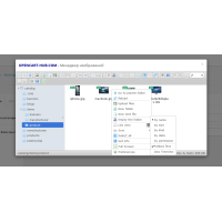 Şəkil və Fayl Meneceri Modulu