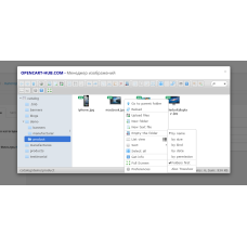 Μονάδα διαχείρισης εικόνας και αρχείων