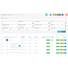 Manajer Kategori - manajemen kategori