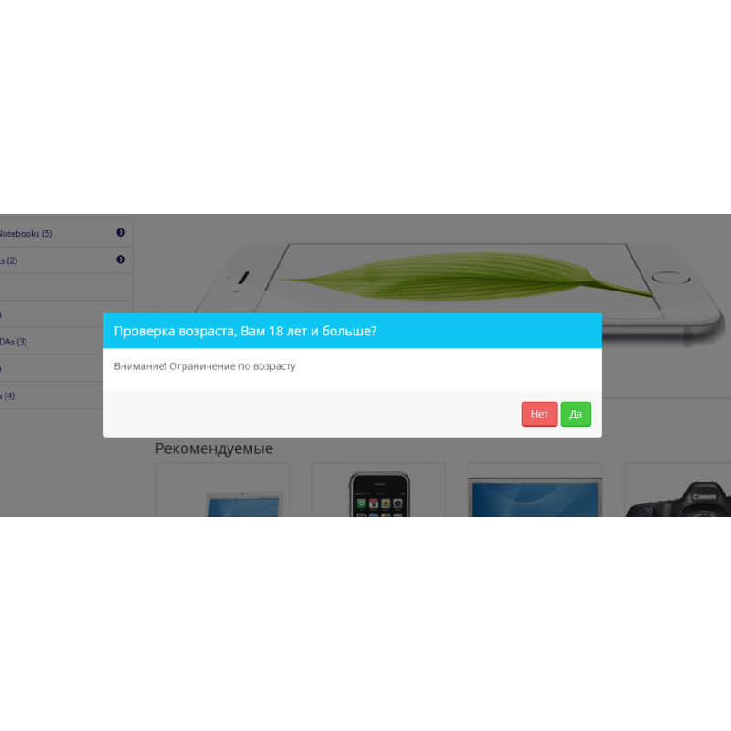 Verificação de idade POP UP PRO (Restrição de idade)