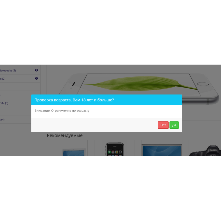 POP UP PRO Age Check (Age Restriction)