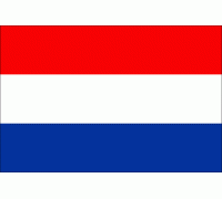 Język niderlandzki (niderlandzki taal)
