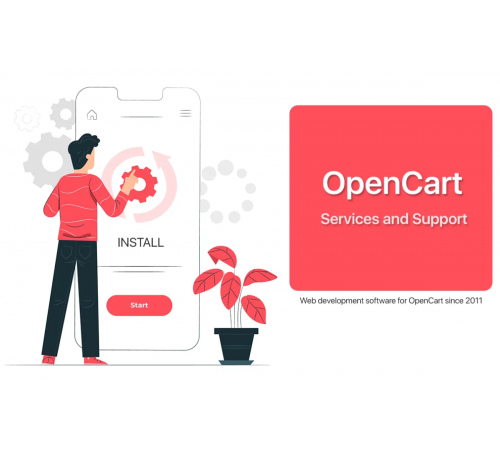 CMS ocStore / OpenCart configuration services